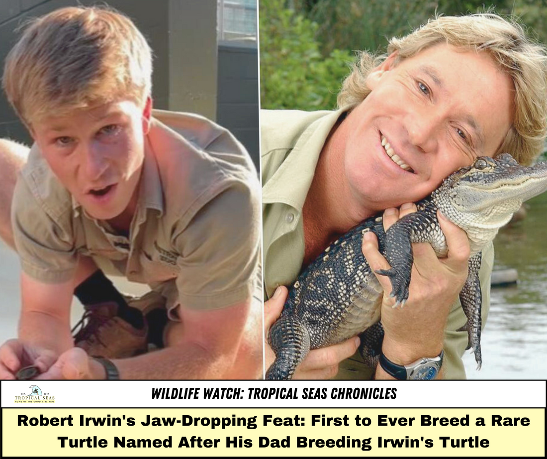 Photo: Robert Irwin is celebrating the birth of a turtle, whose species was discovered by his father, Steve Irwin. Instagram / Getty Images