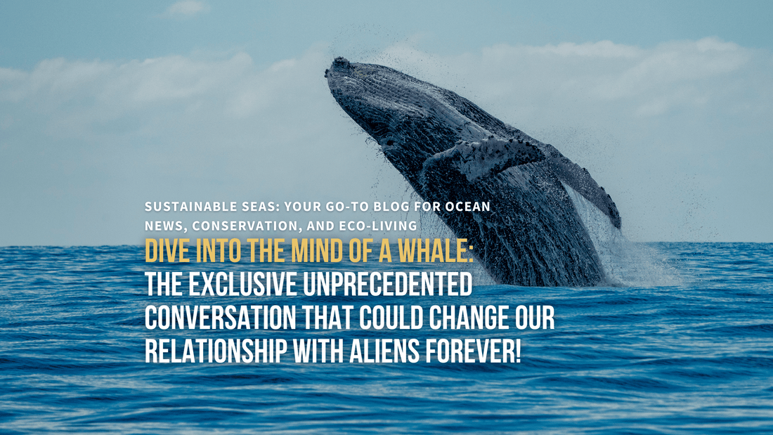 Whale Language Unlocking the Language of Humpback Whales: A Groundbreaking Encounter ...
