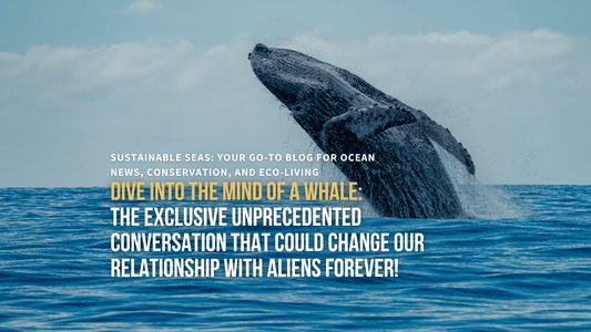 Crafting Connections: Decoding the Whale's Language and Its Implications for Human-Alien Communication