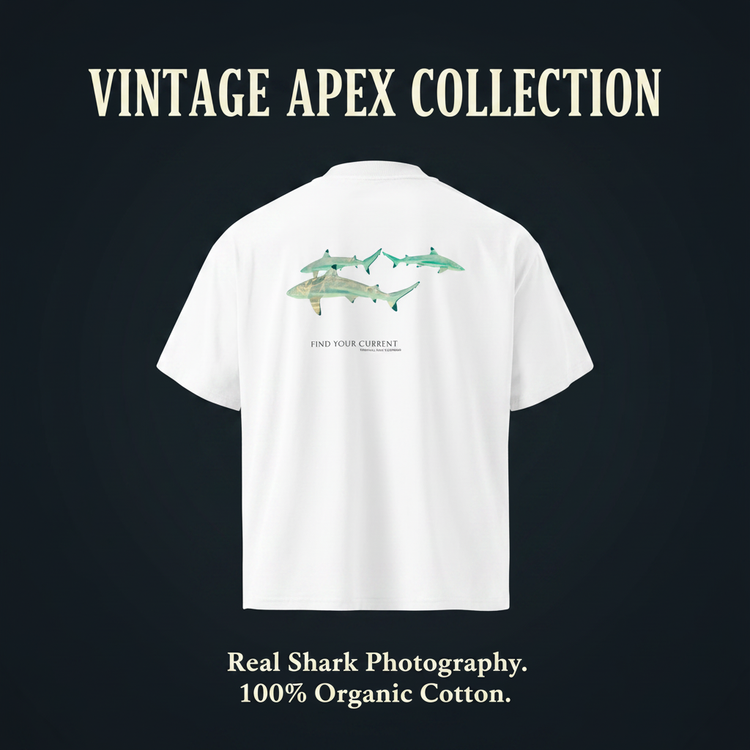 Vintage Apex Collection Launch