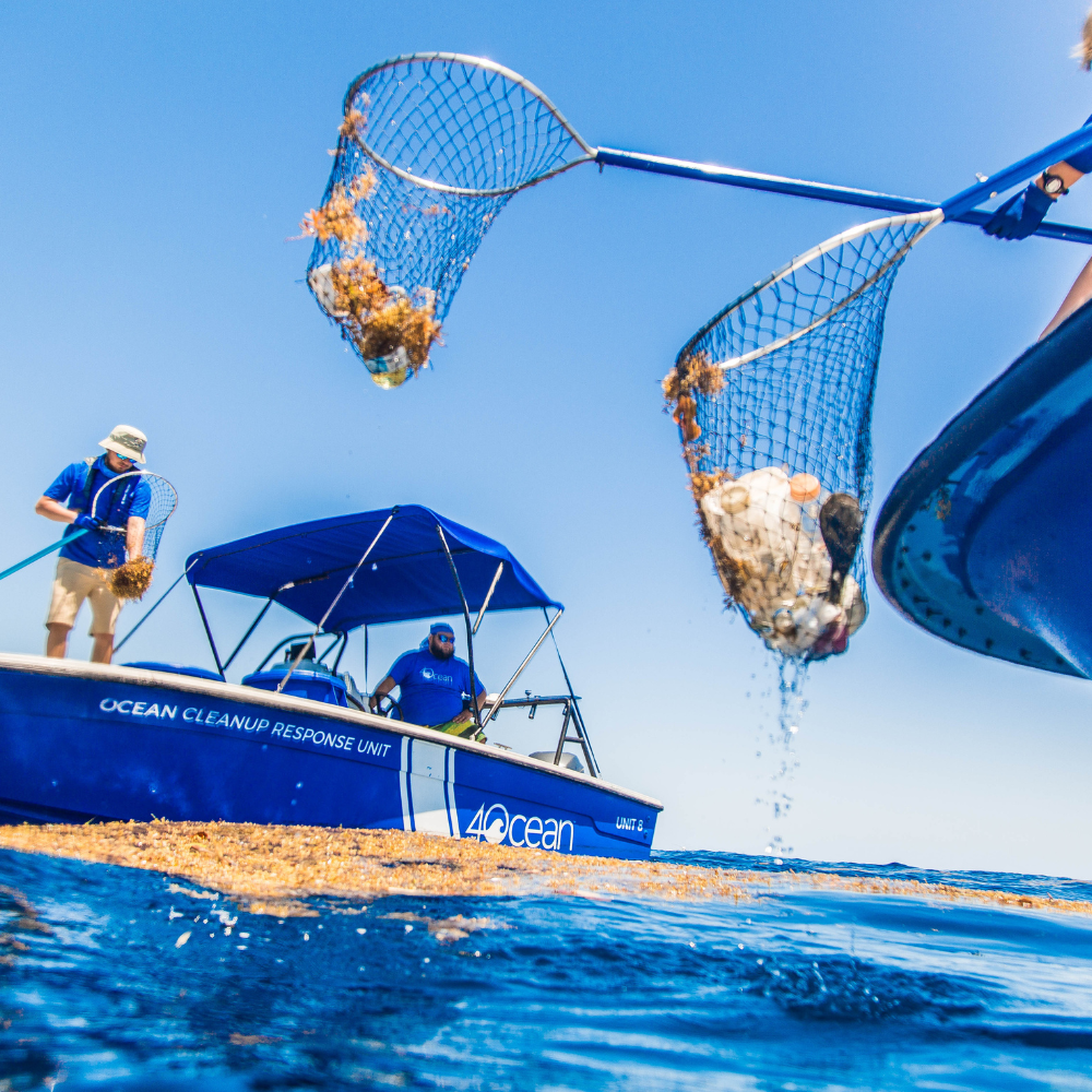 Image depicting 4ocean and Tropical Seas Clothings marine life and ocean conservation efforts to protect marine ecosystems