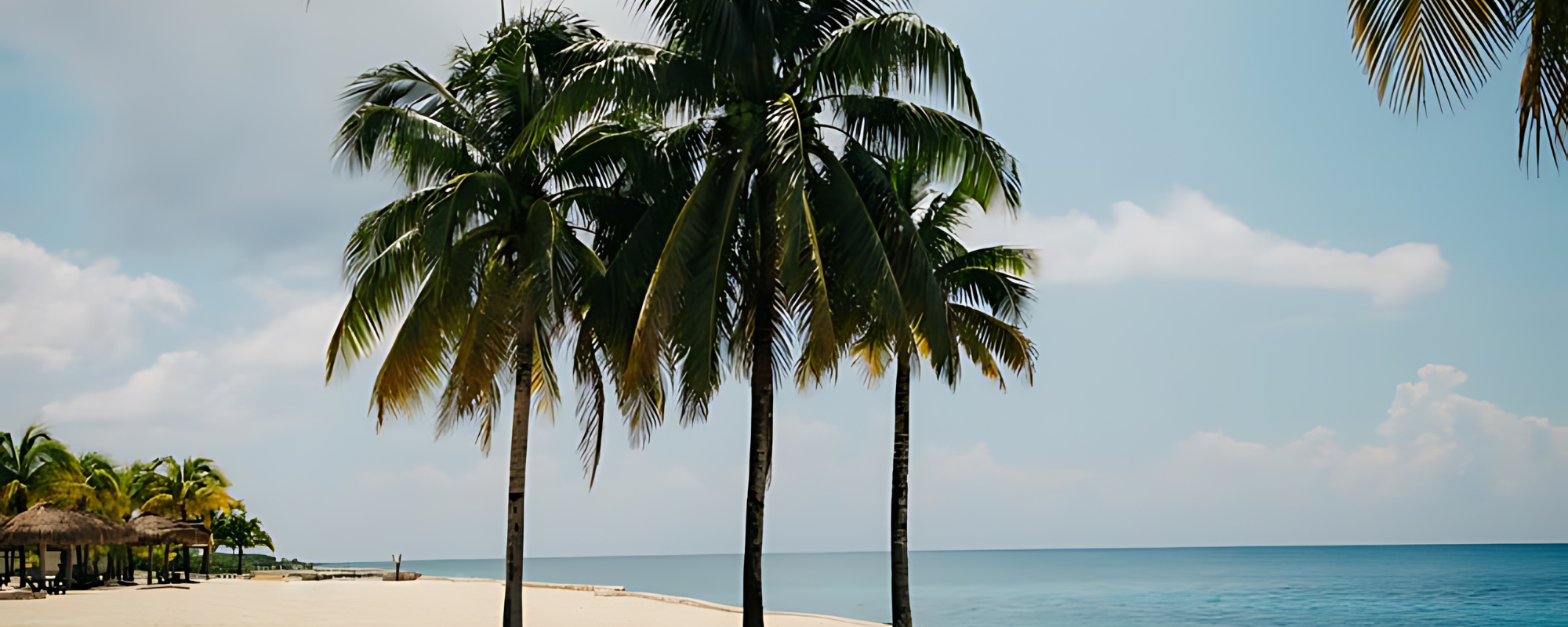 Eco-friendly beachwear, resort wear, and surf clothing by Tropical Seas Clothing