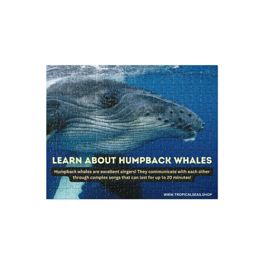 Humpback Whales Fun Fact Jigsaw puzzle - Sustainable Puzzle from Tropical Seas Clothing 